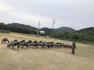 “激情熔煉團(tuán)隊，凝聚成就夢醒”-誠立&邁思德2019年團(tuán)建活動